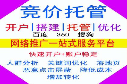 百度推广中的创意策略：成功案例解析与启示