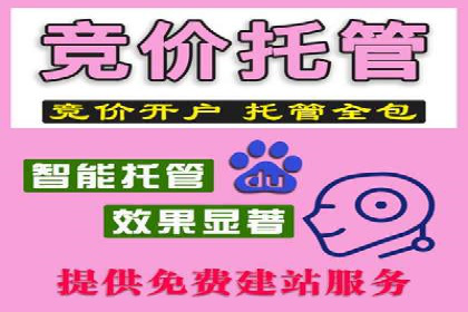 百度竞价推广托管服务，打造高效的网络营销团队